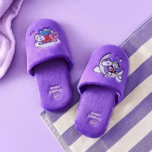 slipper 5000x e081b913 8df4 4fbe 8570 5e757b92f8d2